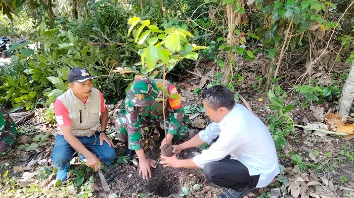 Rawan Banjir Dan Longsor, Dandim Polman Perintahkan Anggota TNI Tanam Pohon