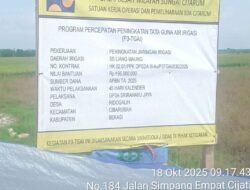 Jadi Sorotan Publik ! Proyek P3-TGAI Desa Ridogalih Kec Cibarusah Kab Bekasi,Diduga Menyimpang Dari Aturan