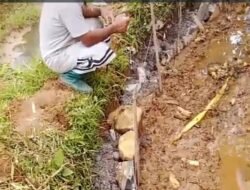 Dugaan kuat proyek irigasi siluman di kmpung cimangu RT 4 RW 2 desa waringsari kcmtn takokak cianjur tanpa di pasang papan proyek seakan” pihak dinas kbptn cianjur tutup mata”